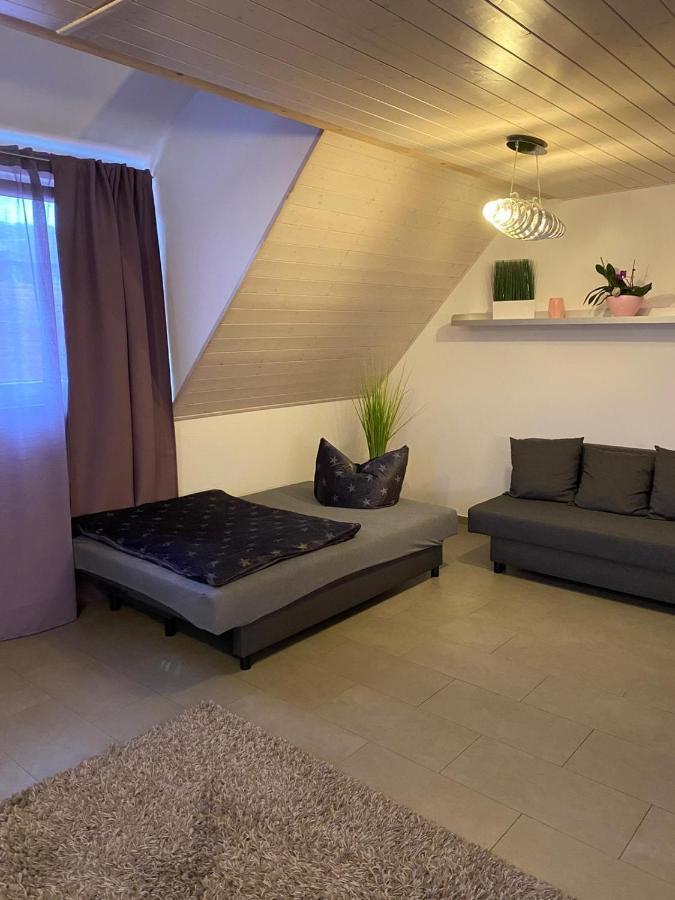 Ferienwohnung Sinsheim Kültér fotó